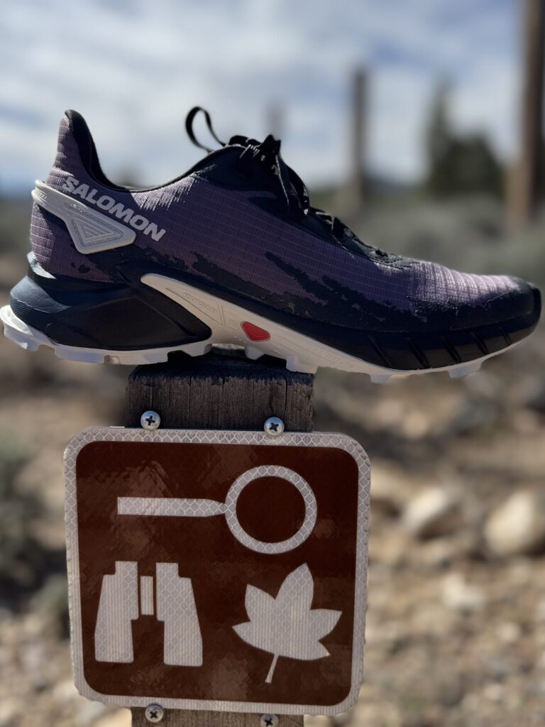hiking shoes on trail sign with trail and blues skies in the background