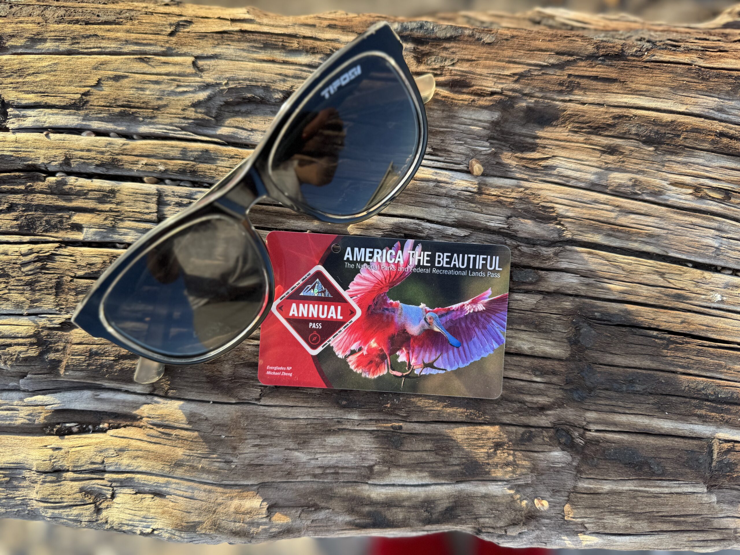 top view of black polarized sunglasses and annual nation park pass