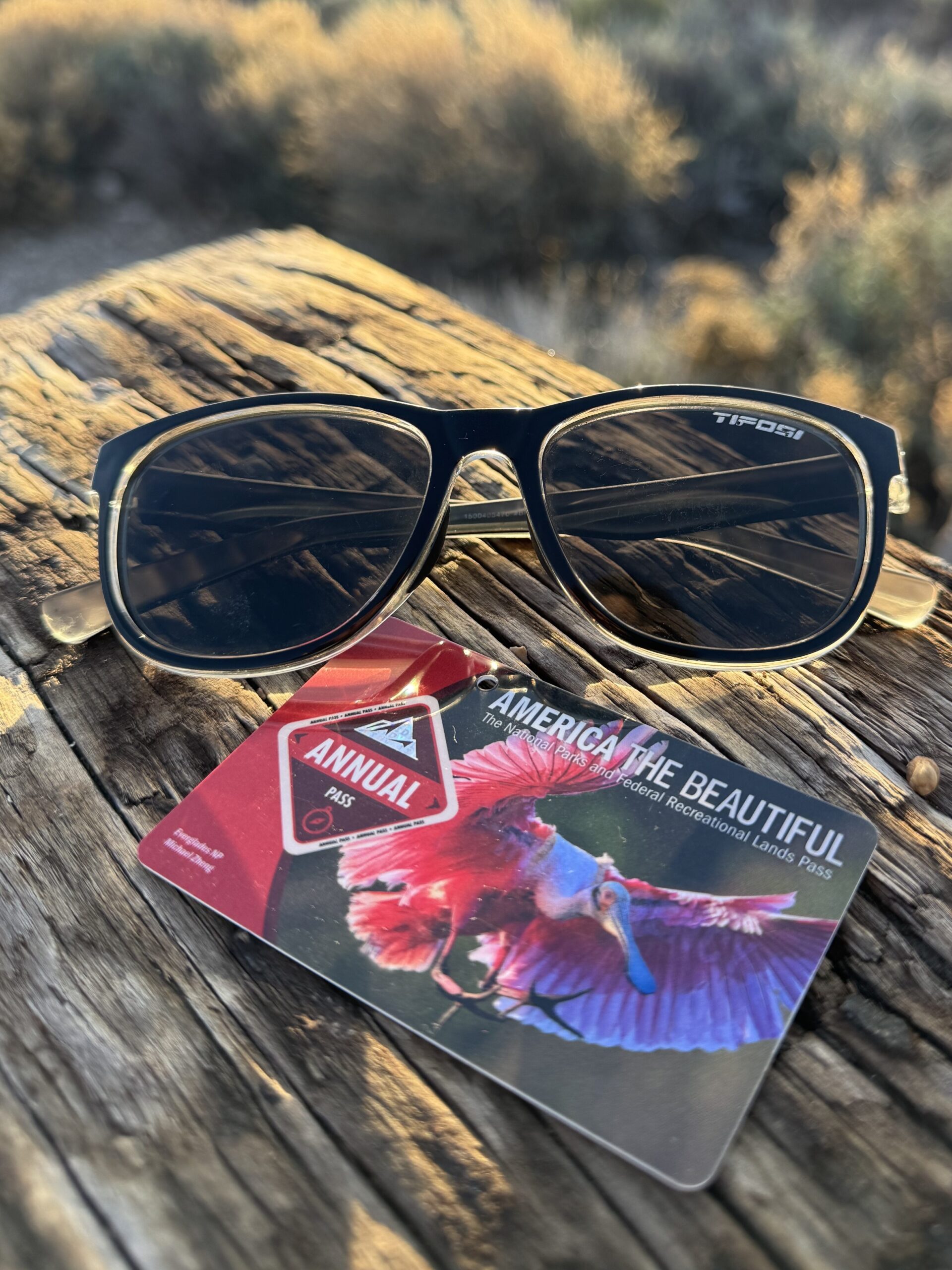 sunglasses and annual national park pass