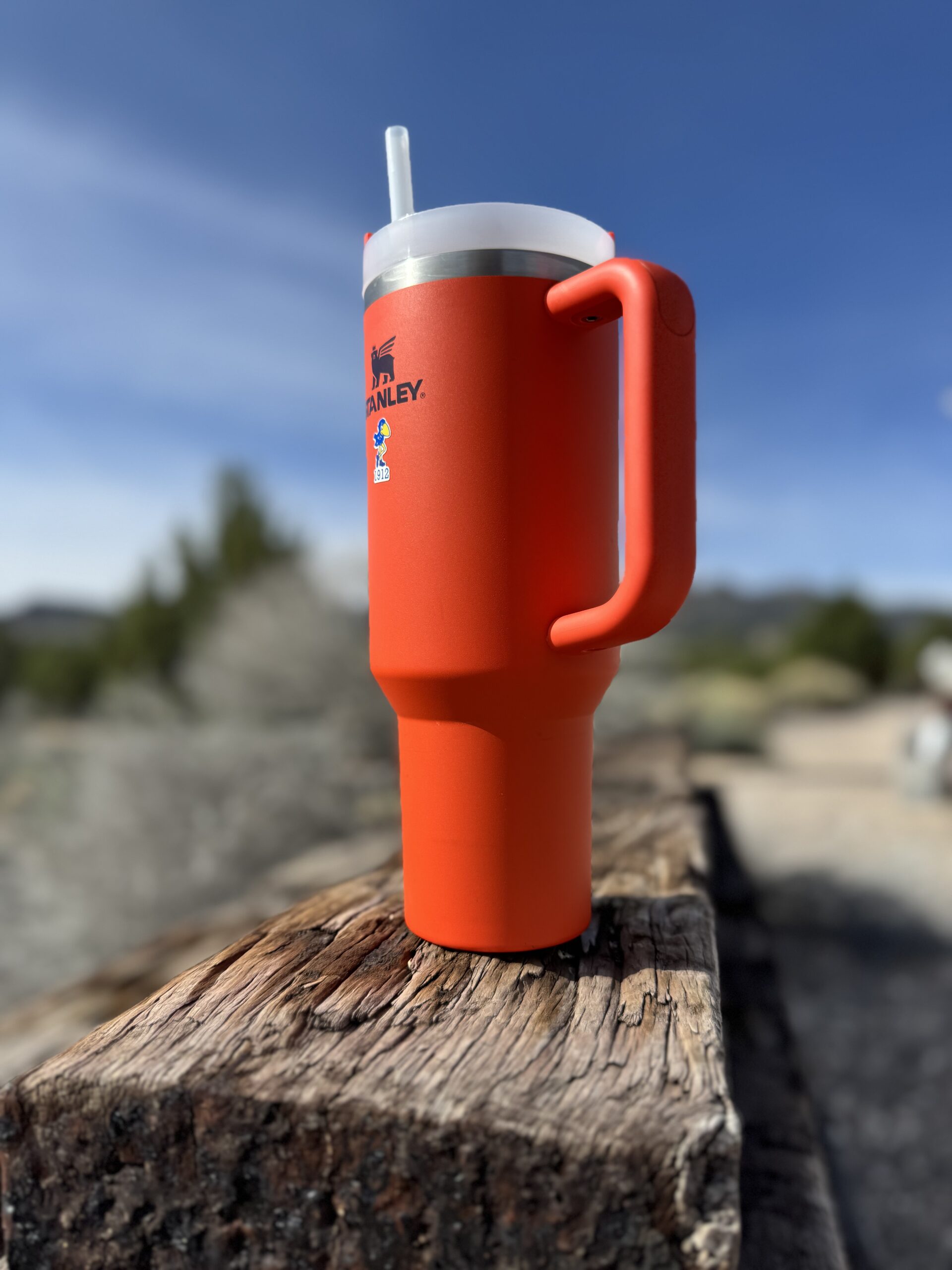 orange stanley cup on a old log int the against the blue sky of a desert landscape